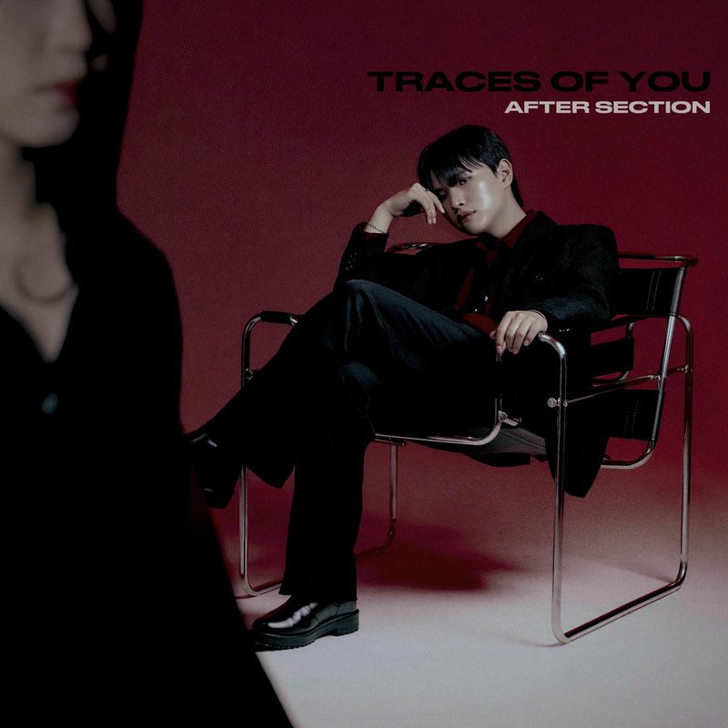 Traces of You by After Section album art